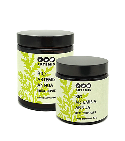 Artemisia annua Kräuterpulver aus reiner Blattware