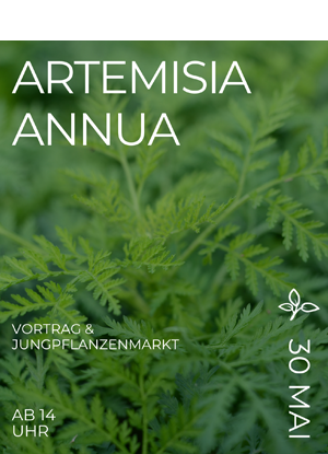 30.05.26 - Vortrag: Artemisia annua