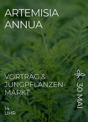 30.05.26 - Vortrag: Artemisia annua