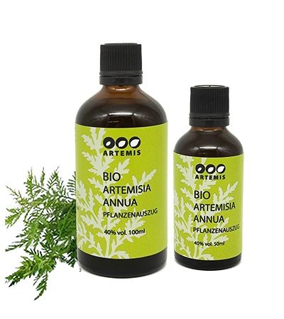 Artemisia annua Pflanzenauszug