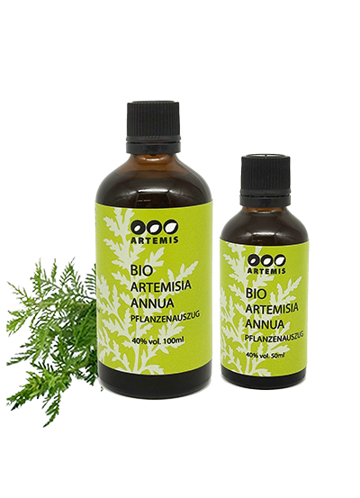 Artemisia annua Pflanzenauszug