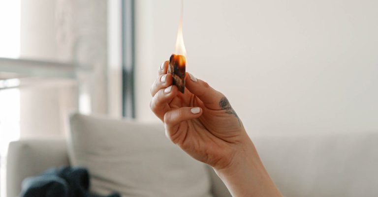 A serene scene of a hand holding a lit incense stick beside decorative succulent pots.