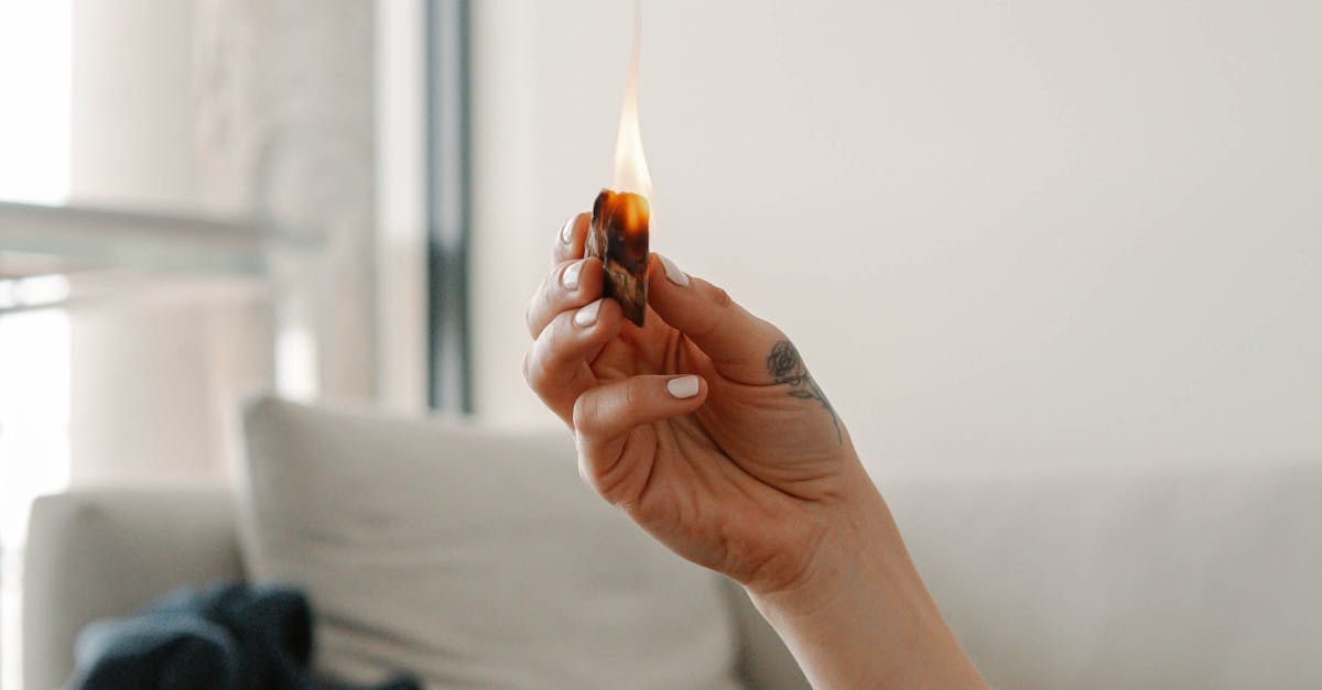 A serene scene of a hand holding a lit incense stick beside decorative succulent pots.
