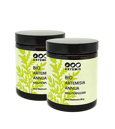 Artemisia annua Kräuterpulver Vorteilsset