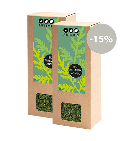 Artemisia annua Blatt Vorteilsset