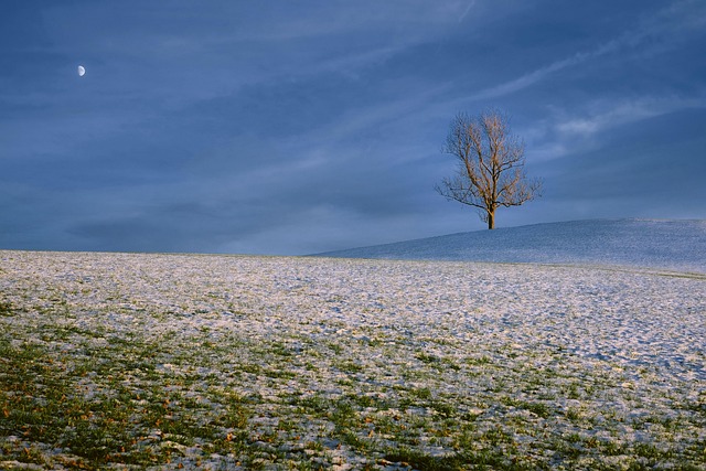 nature, landscape, snow, evening light, mystical, outdoors, nature, nature, nature, nature, landscape, landscape, snow, snow, snow, snow, snow