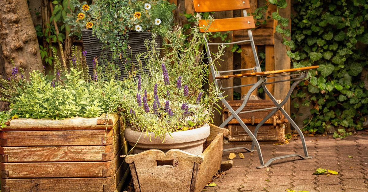 Charming rustic garden patio featuring wooden planters filled with vibrant flowers and a folding chair.